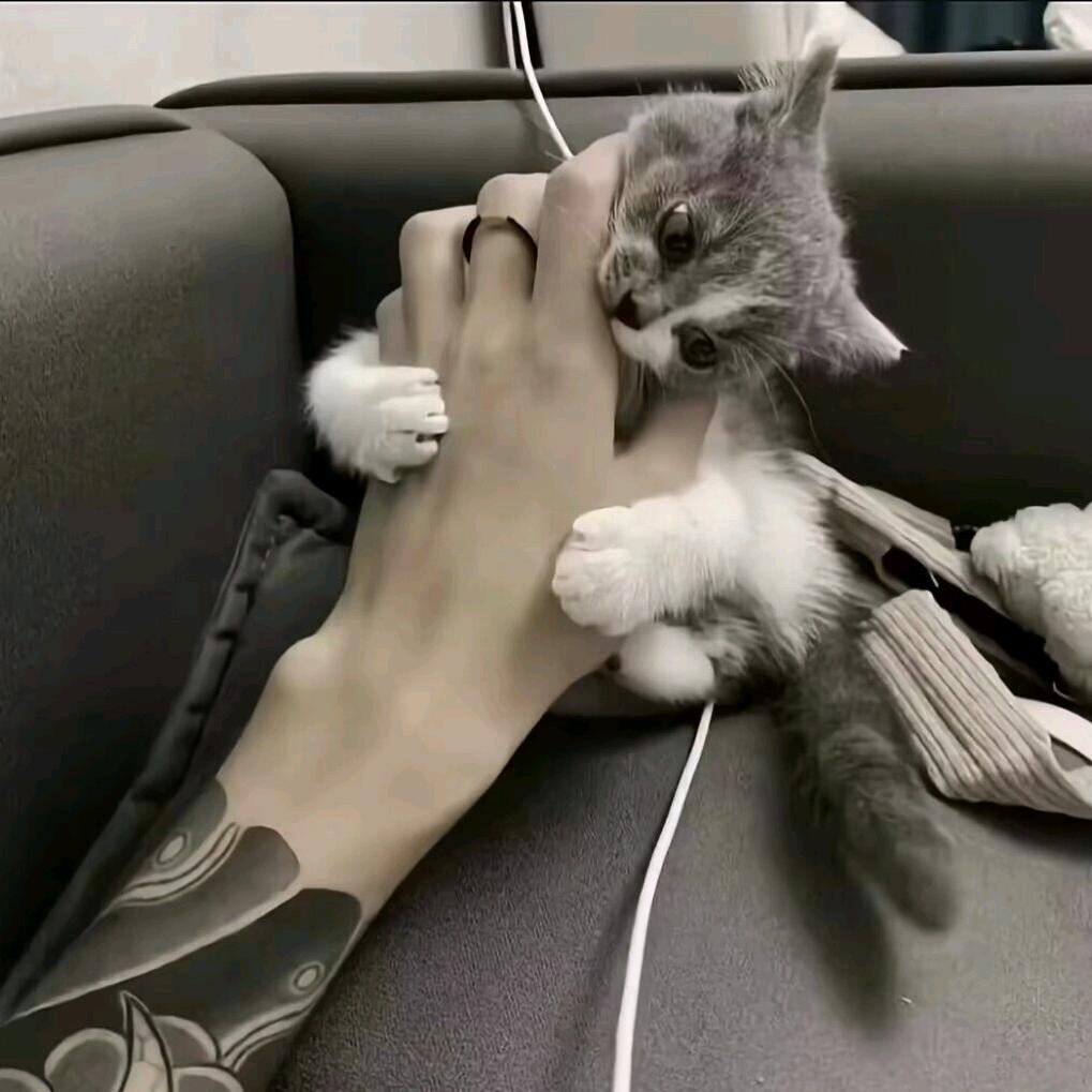 小宇
