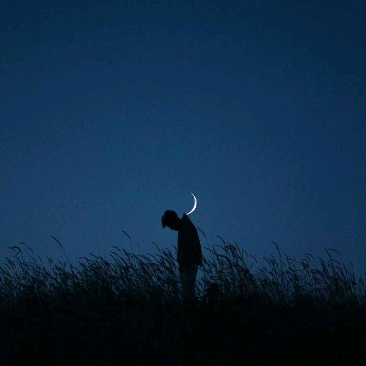 黑白灰丶