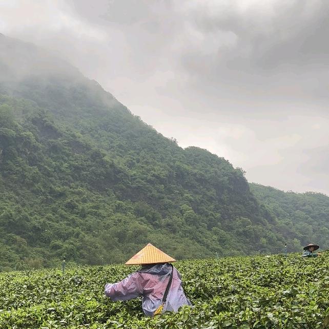 粤北三农山货特产