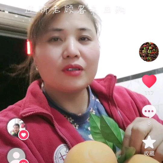 新宁土特产林