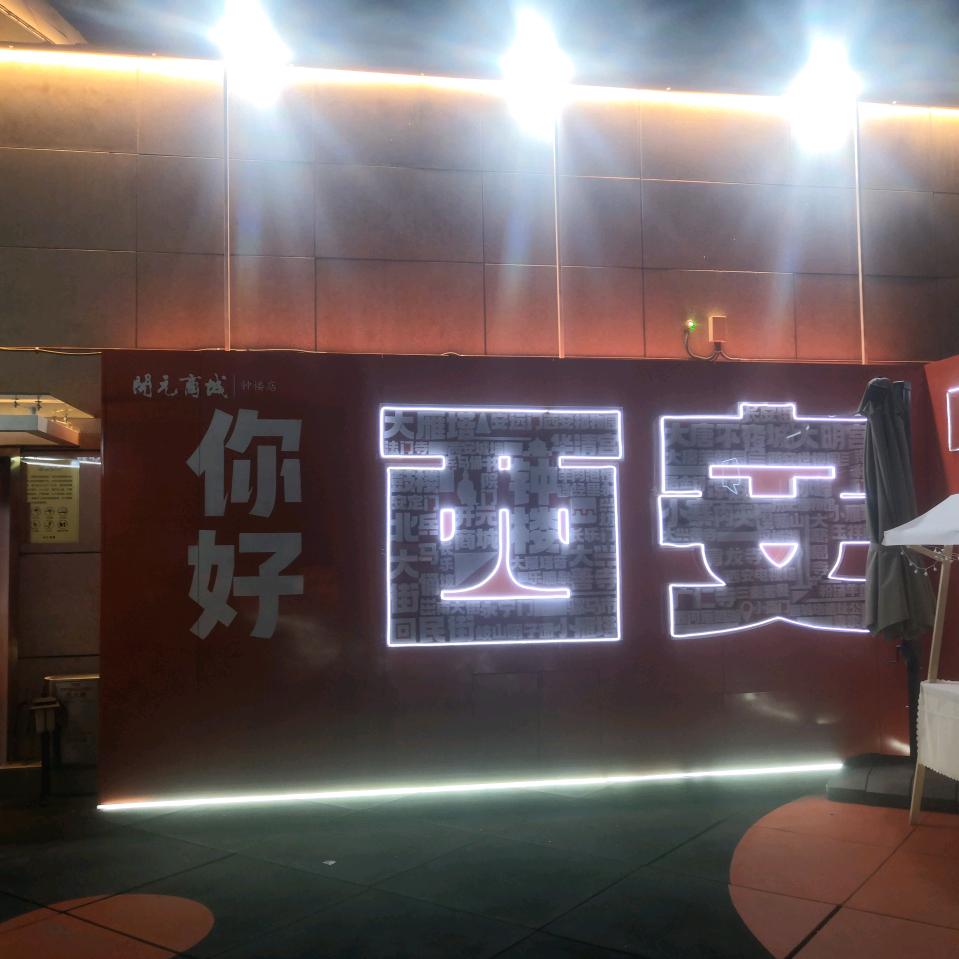 两只夜猫