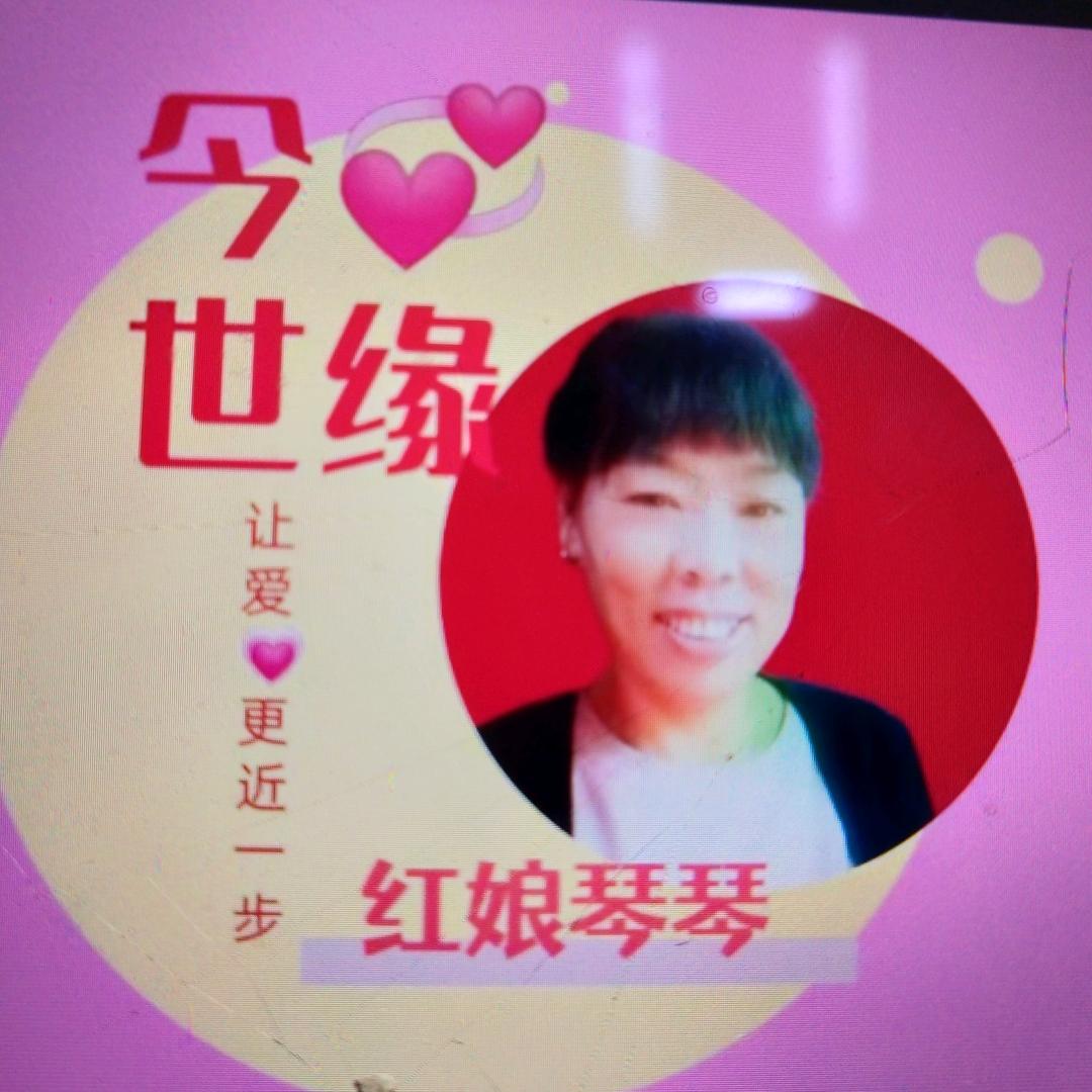 今世缘   琴琴