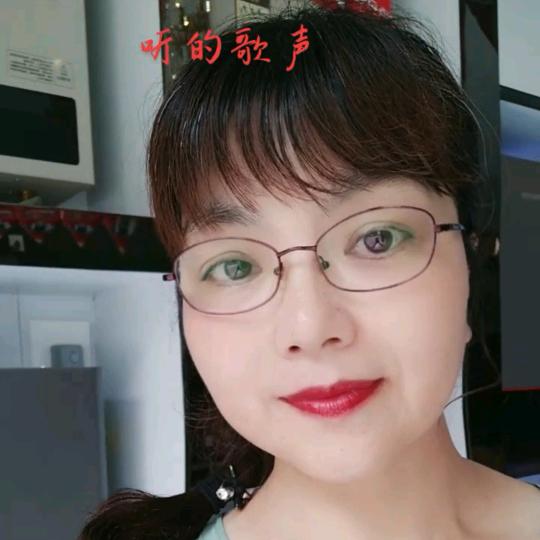 资中阿诗丹顿厨房电器冉姐