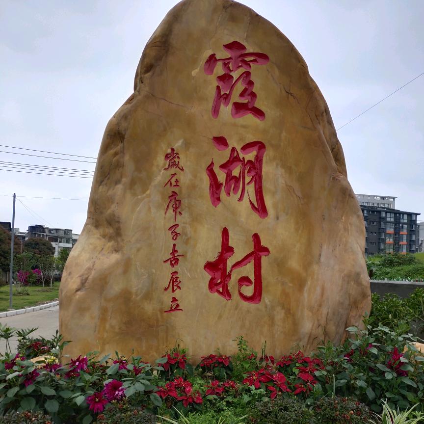 为了生活要努力。