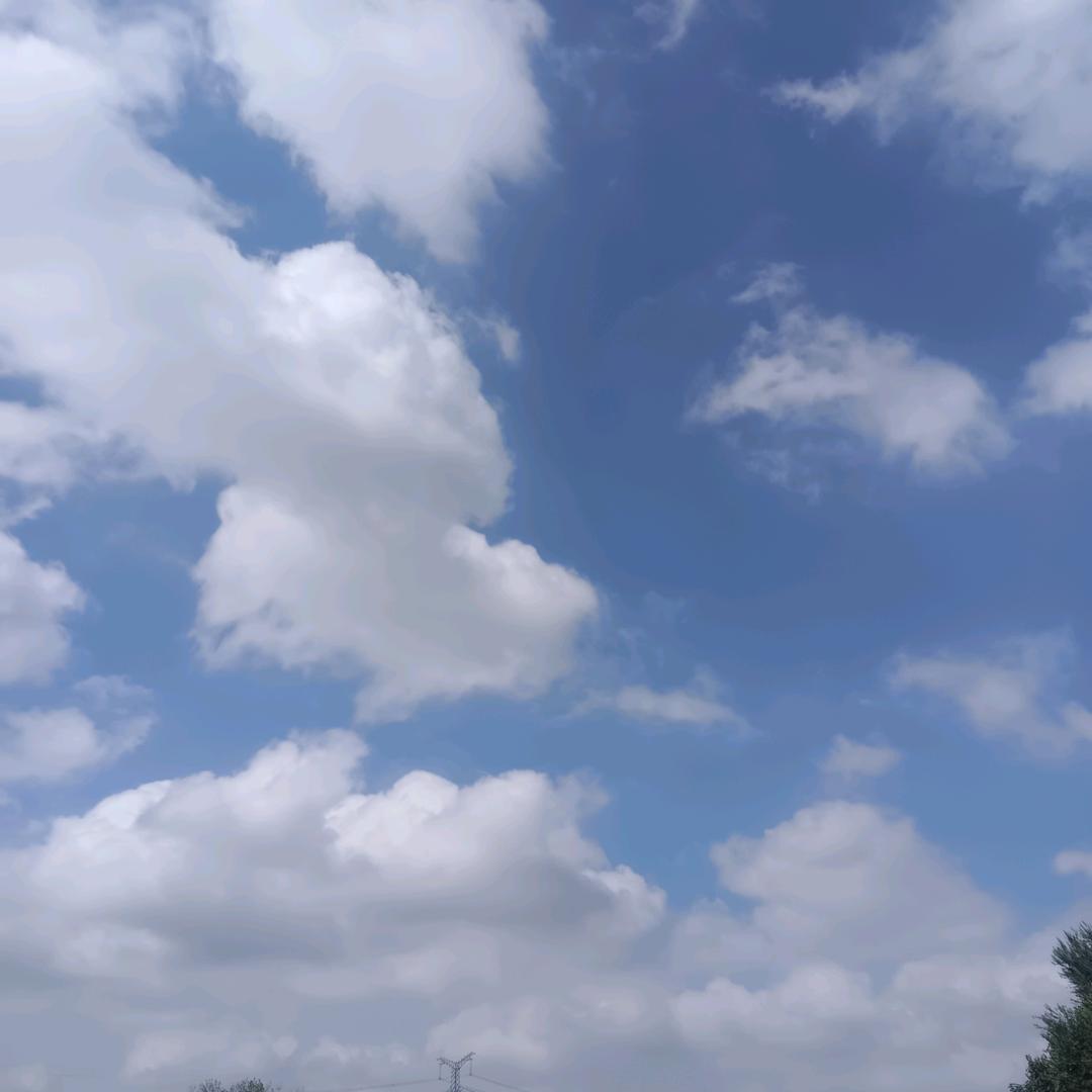 让梦飞翔