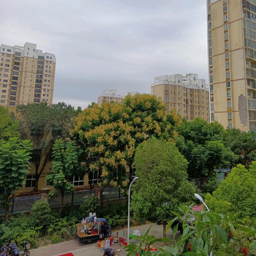 🍁风景如画