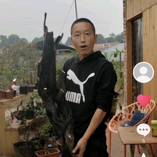 泸州弹庐