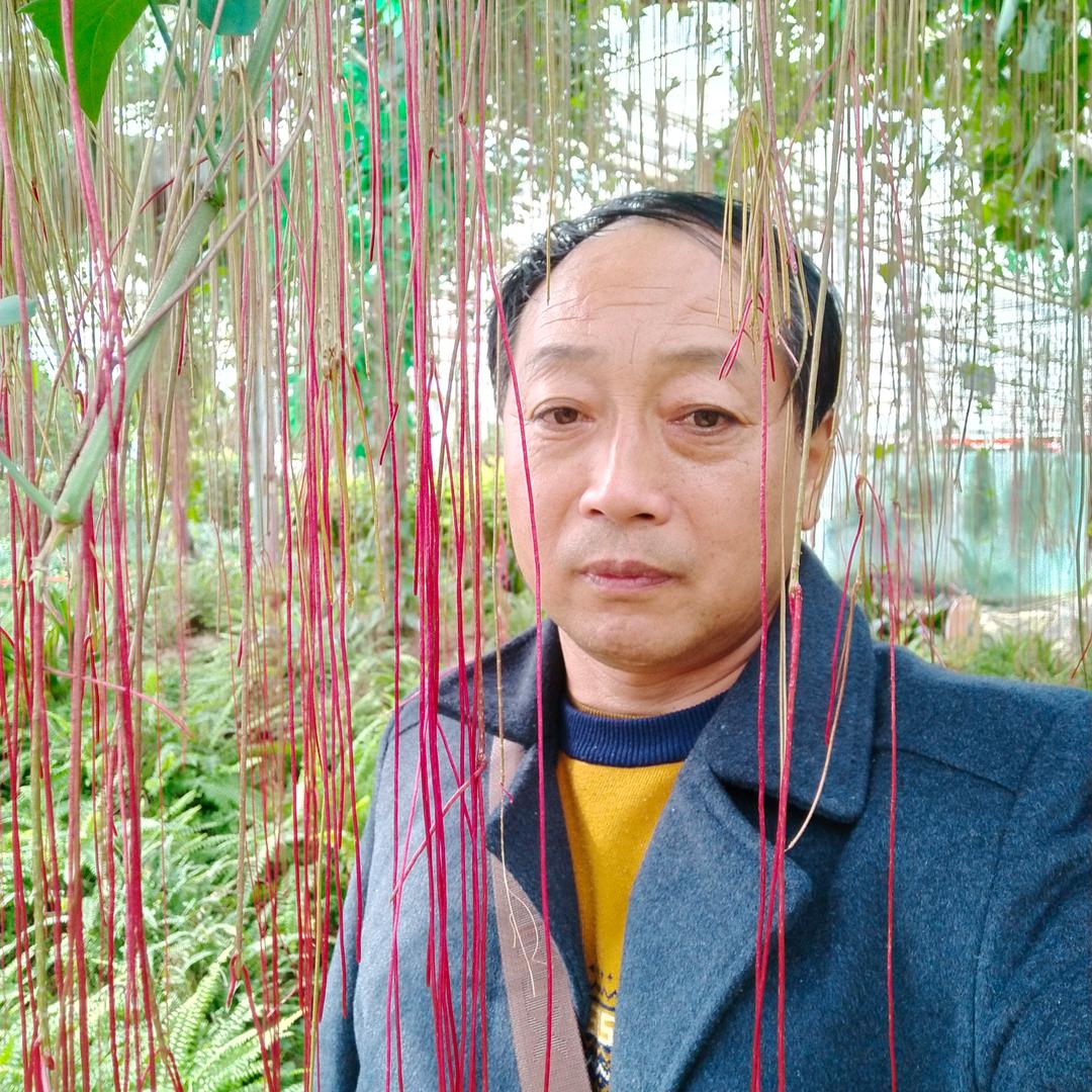 洪泽厨卫电器费哥