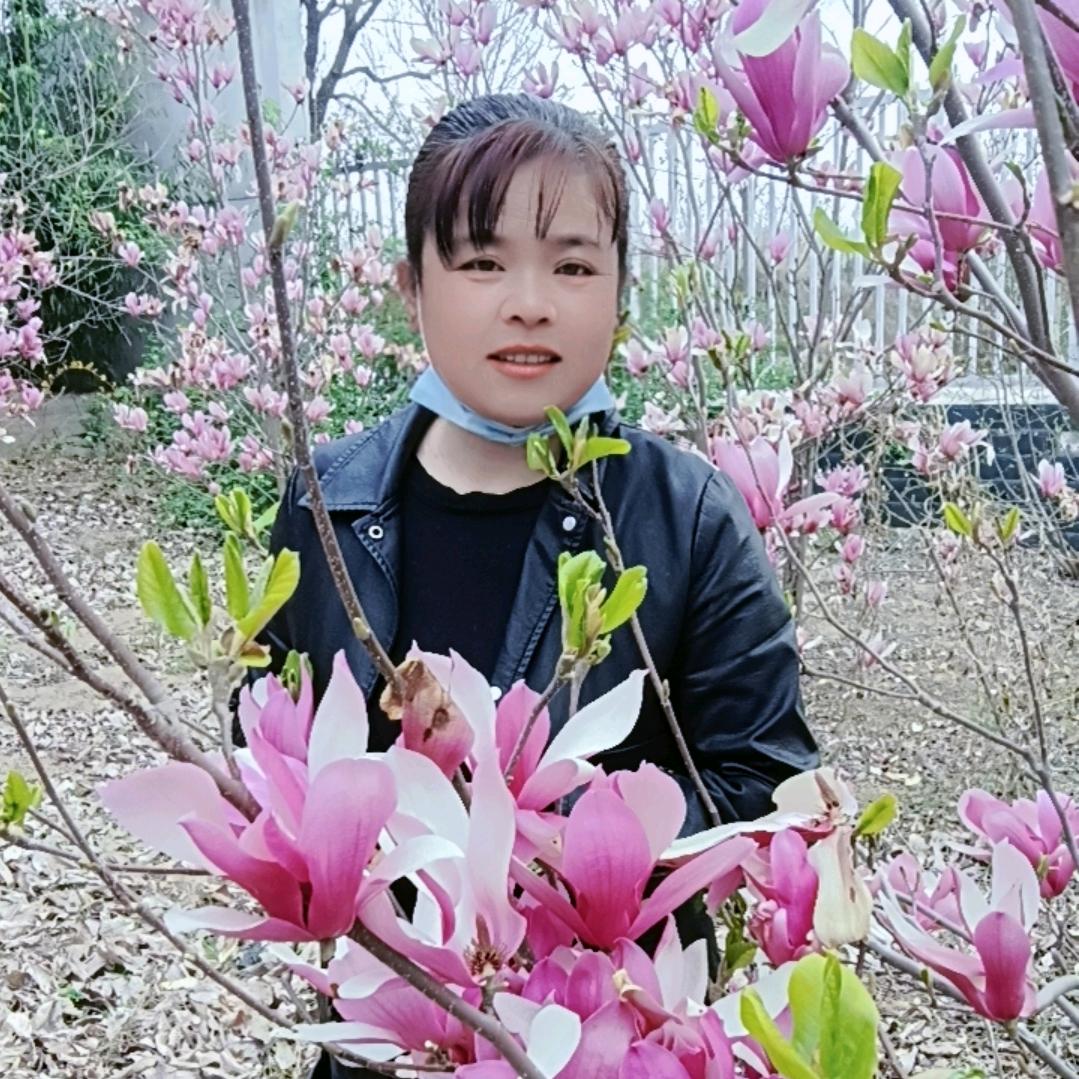 杨老五