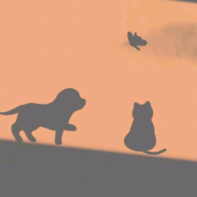 玻璃花瓶在桌上