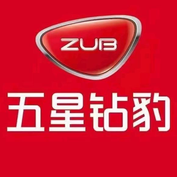 五星钻豹电动车秀水店