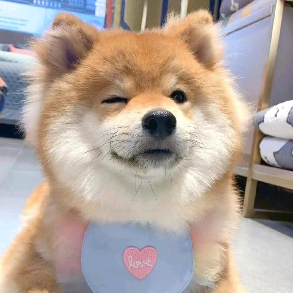 玖