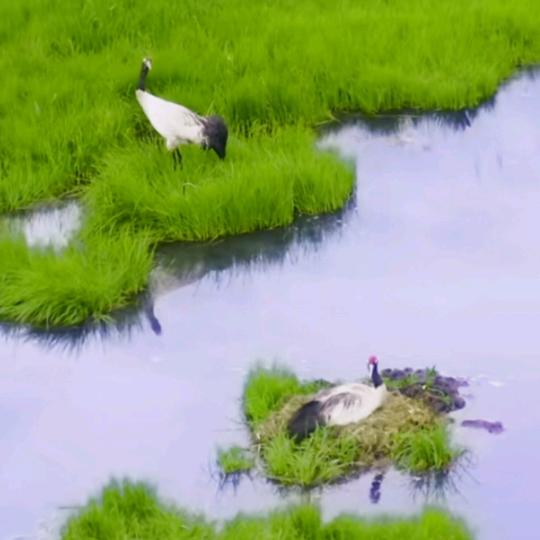 即相遇：莫相忘