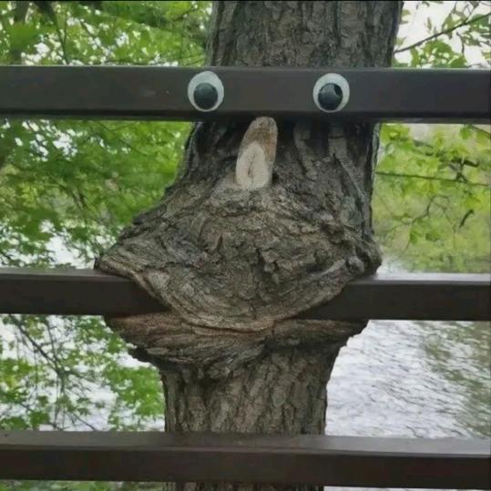啊嘻嘻▻◅🍪○Oo