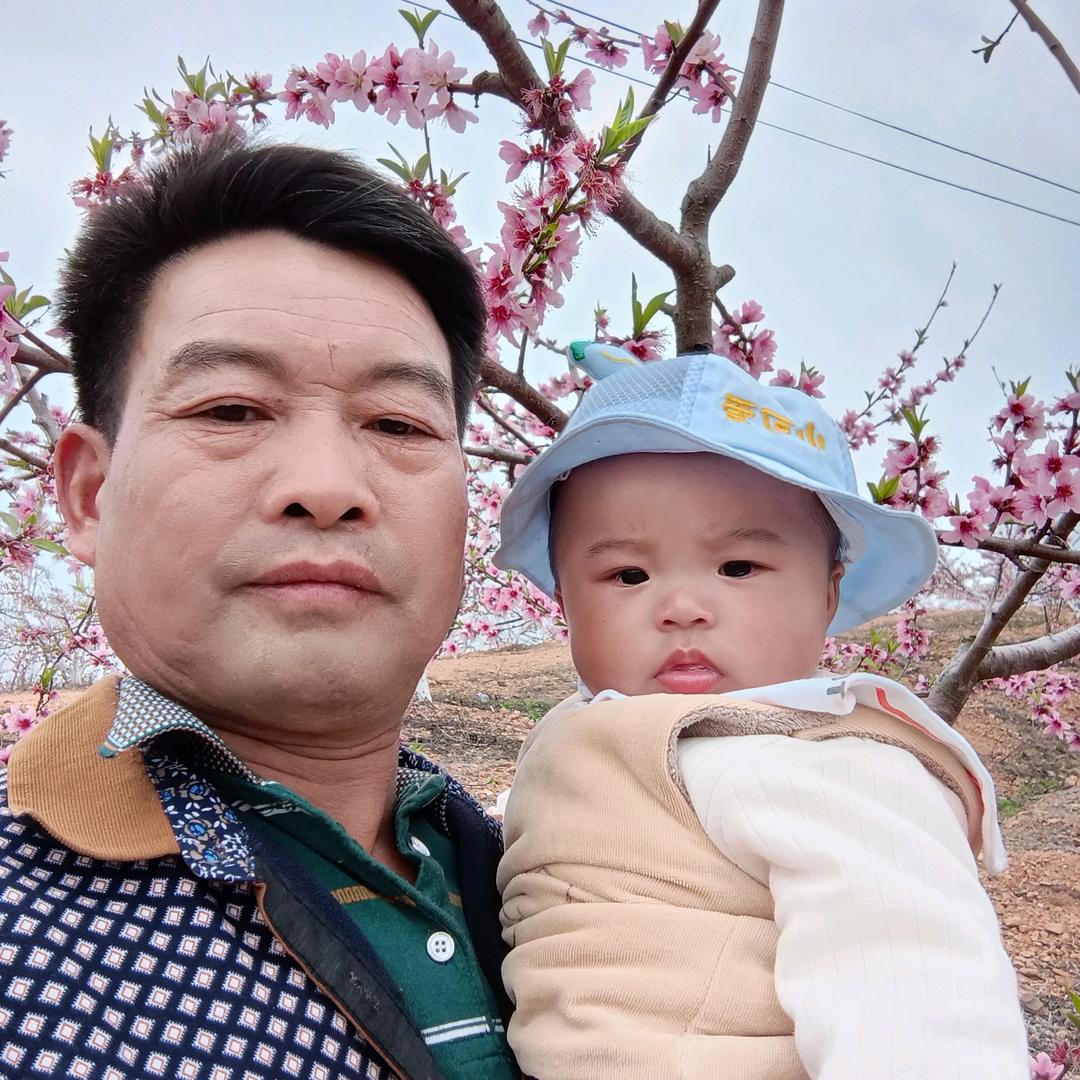 高山黄桃白桃