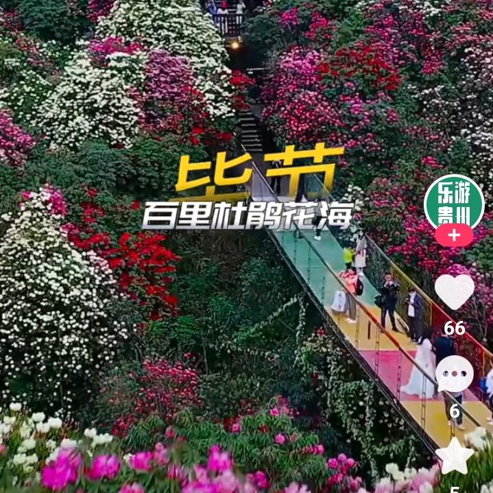 飞虎神鹰