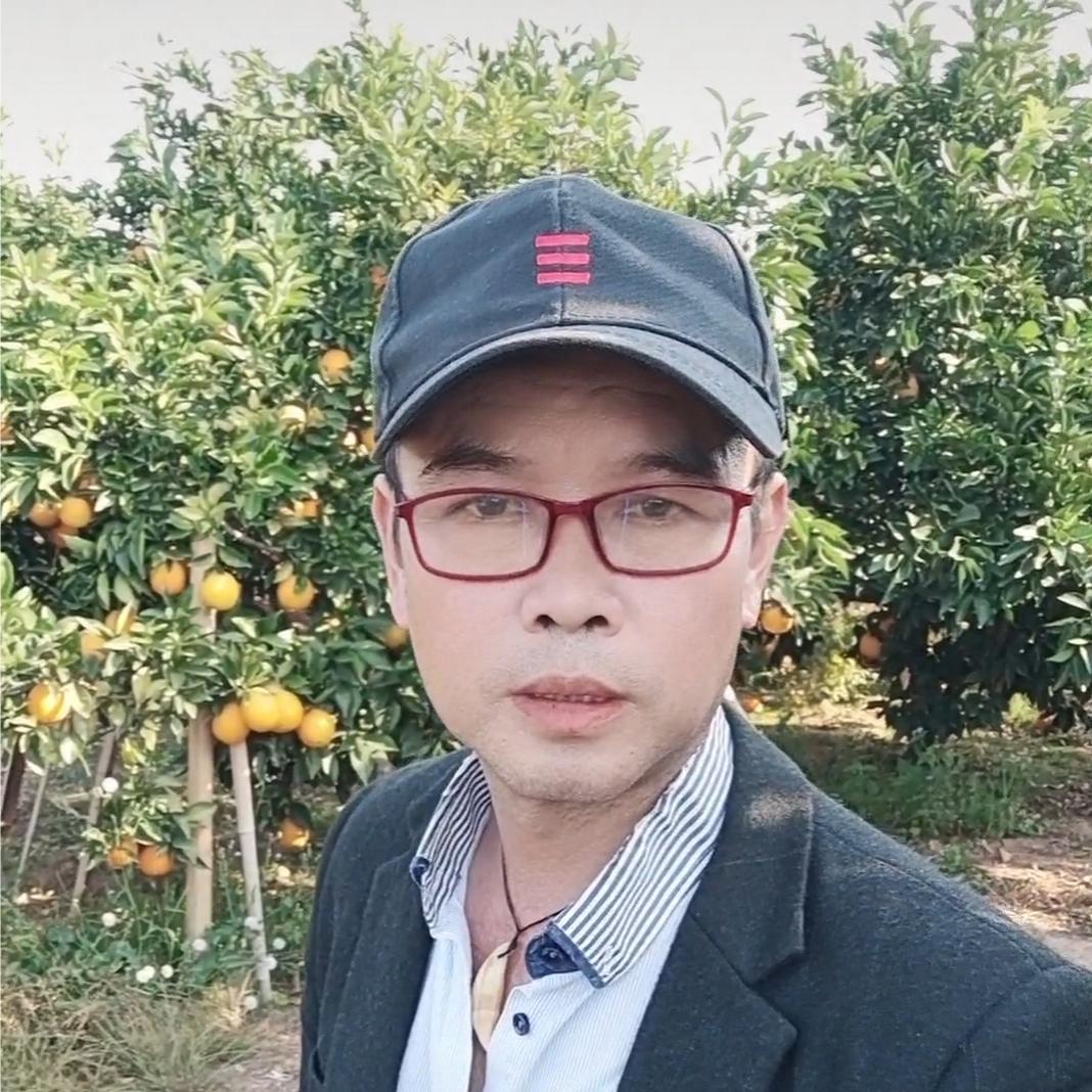 顾歌音乐