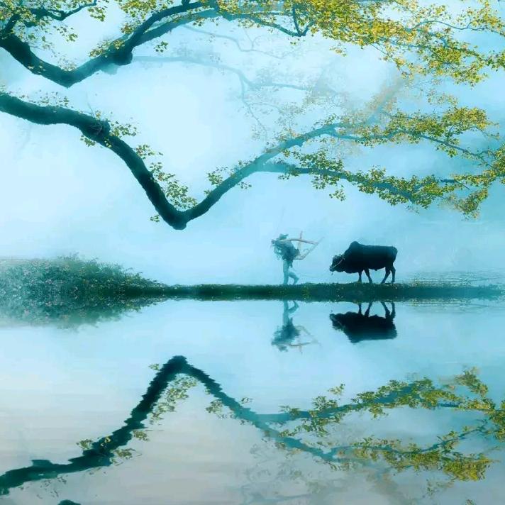 大老林·云遊
