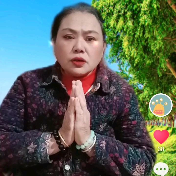 朱金姨直播号