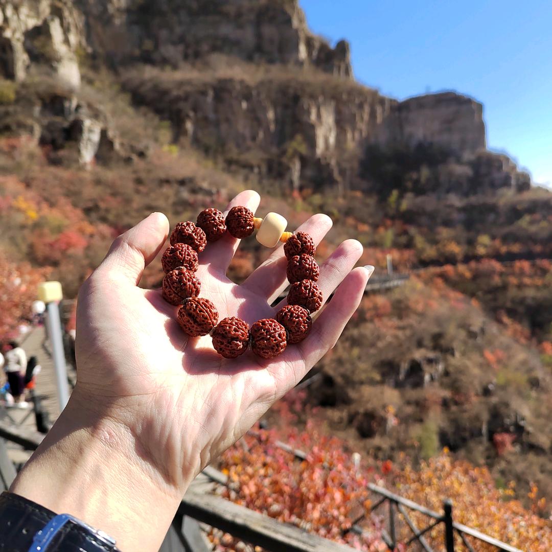 卖铁丝网的小王