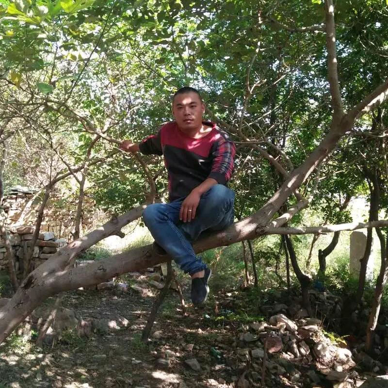 დ᭄简简单单დ᭄