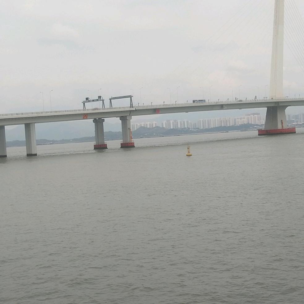 陪伴是最长青的告白