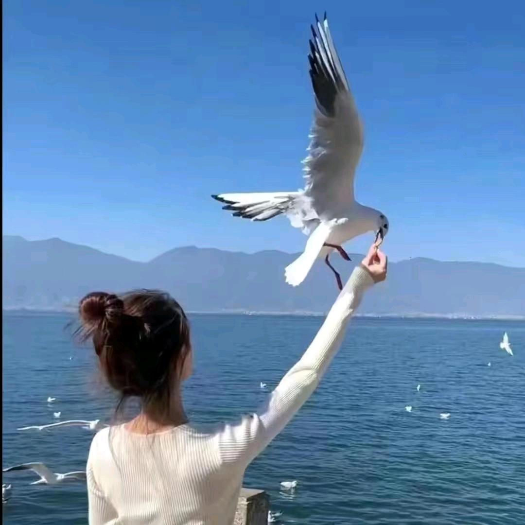 治愈世界