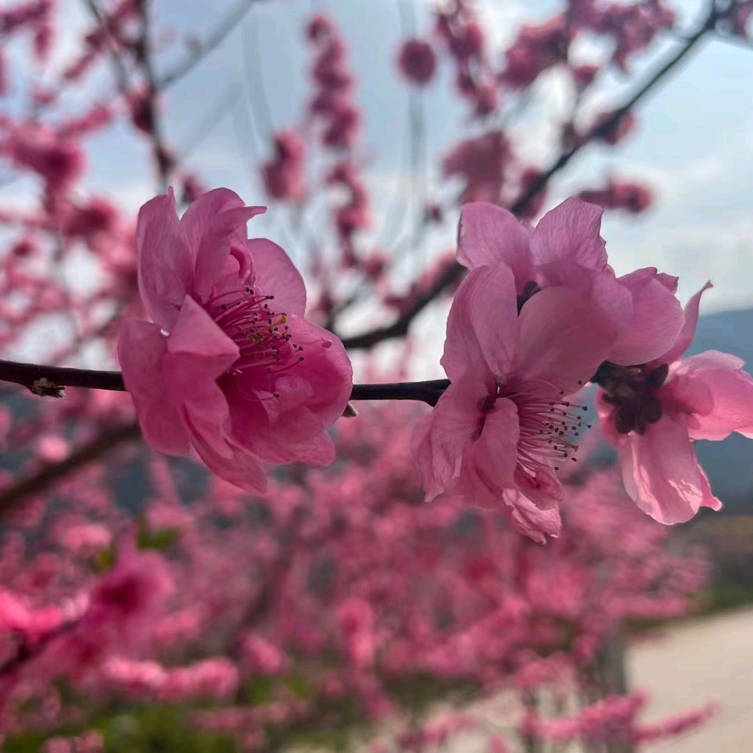 安康幸福