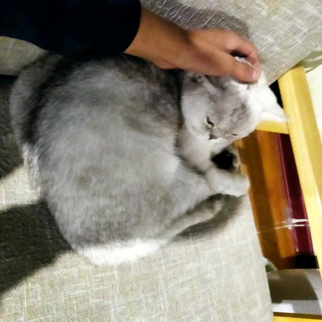 拾壹
