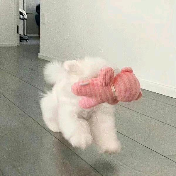 梅子