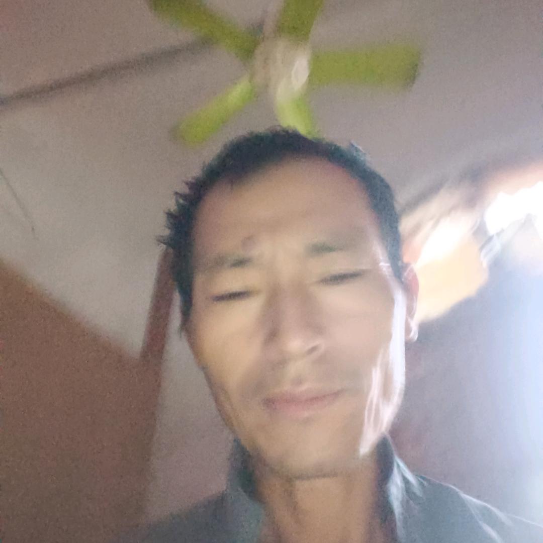 柳平