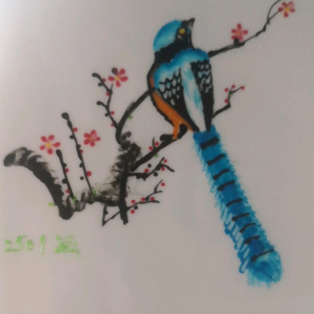 渤海科技招生崔老师