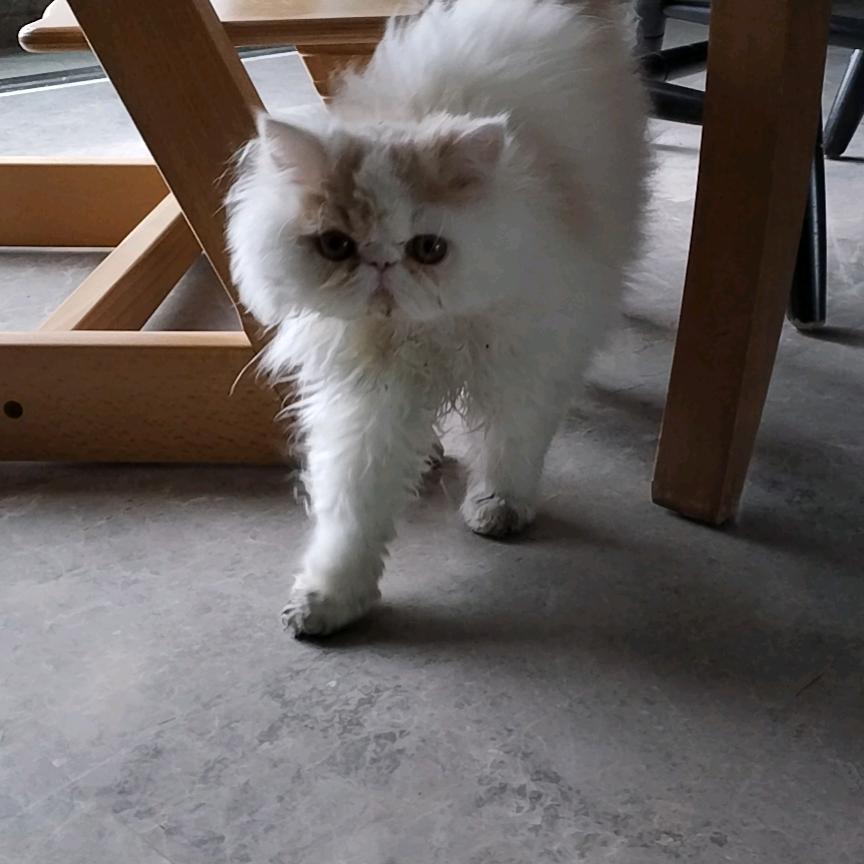永远的宏远小迷弟