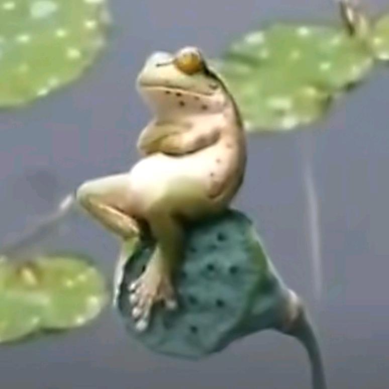 碰瓷