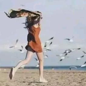 是候鸟也是鱼🐟