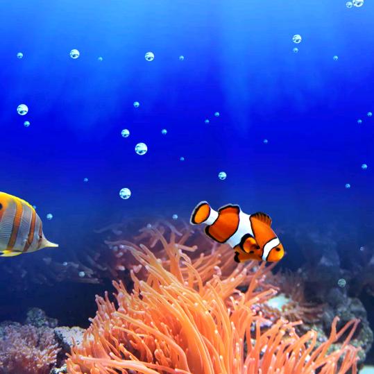 四海为家（厨房电器，净水器）