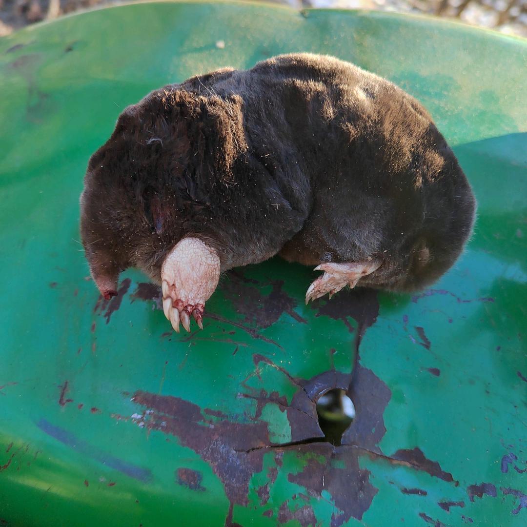 @_@金辉😜😜😜😜😜