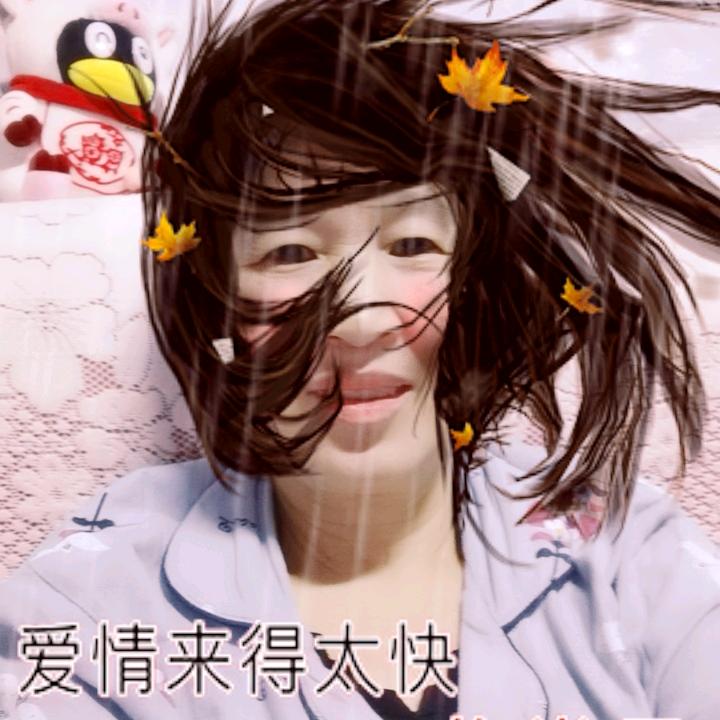 我爱我家的那棵树