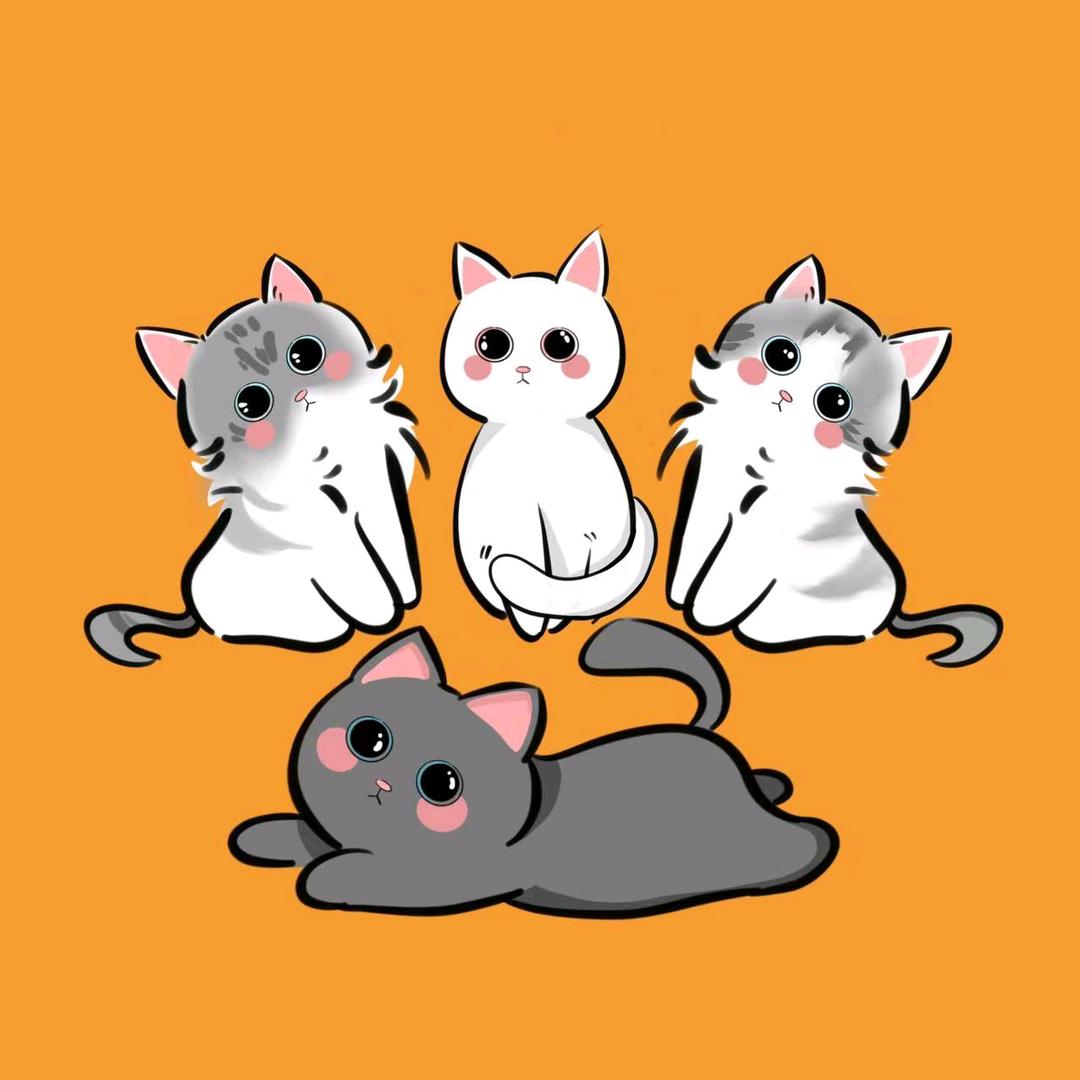 韩韩有好多猫