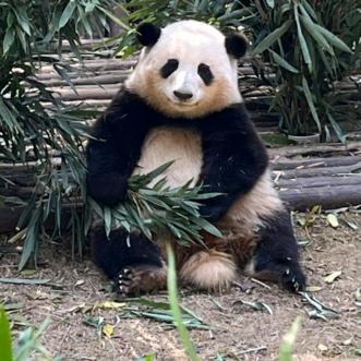 我叫阿杰
