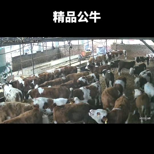 宿州市埇桥区李楠养殖场