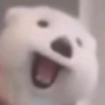白姜