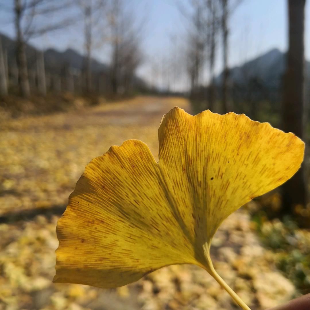 :-)马哥