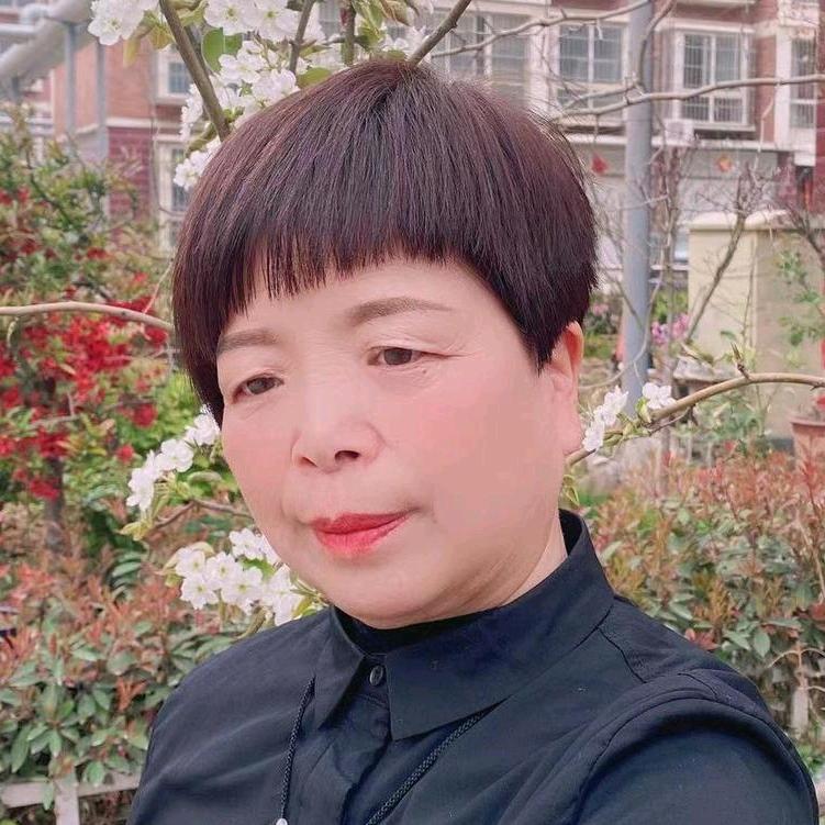 凤梅