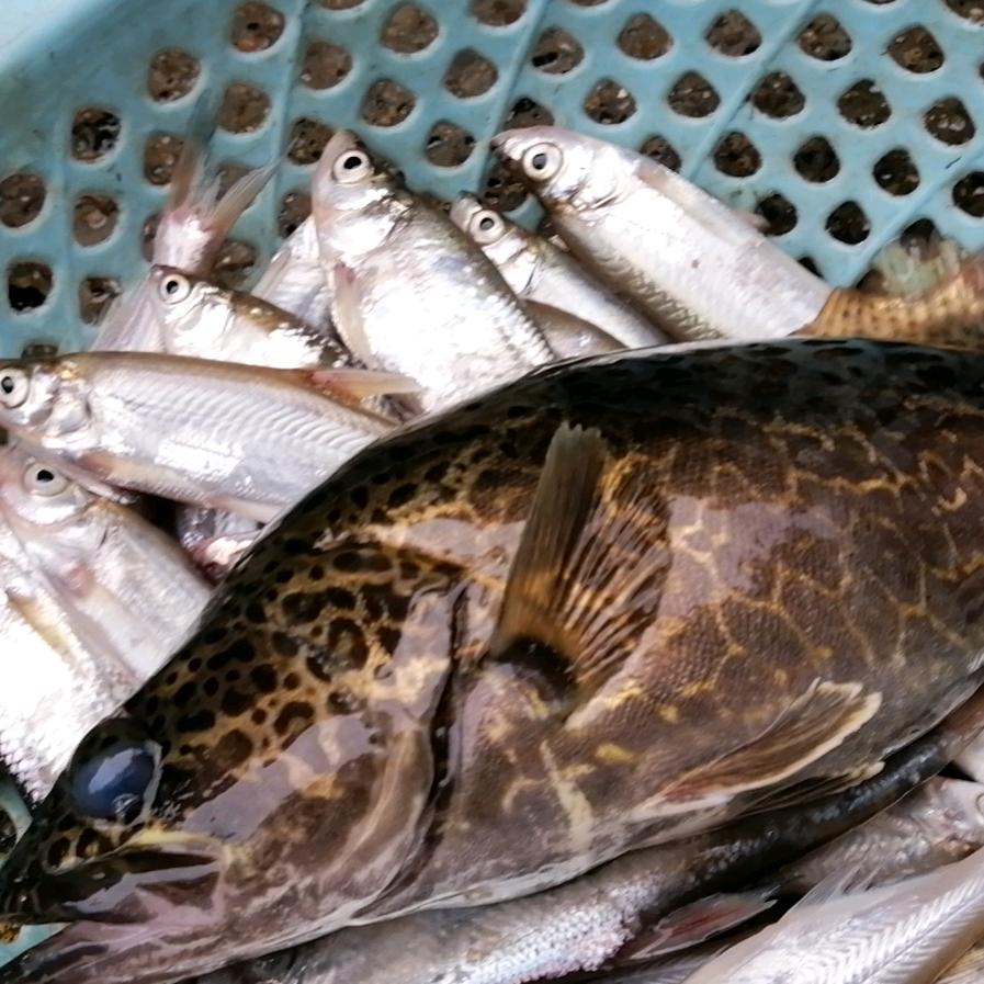 €X1CzOhw8dFcoFHv€