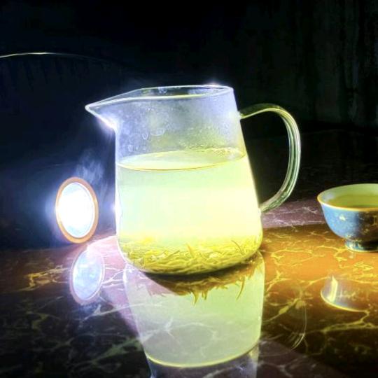 晓信阳