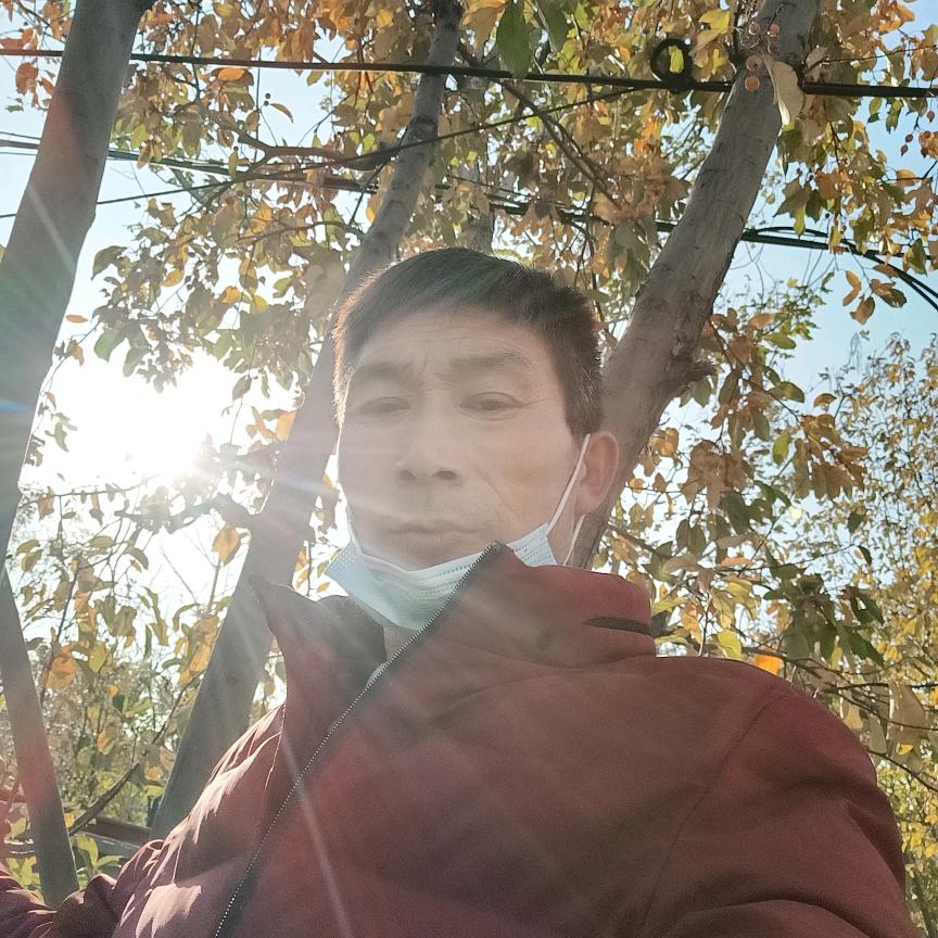 你已错过我的年华