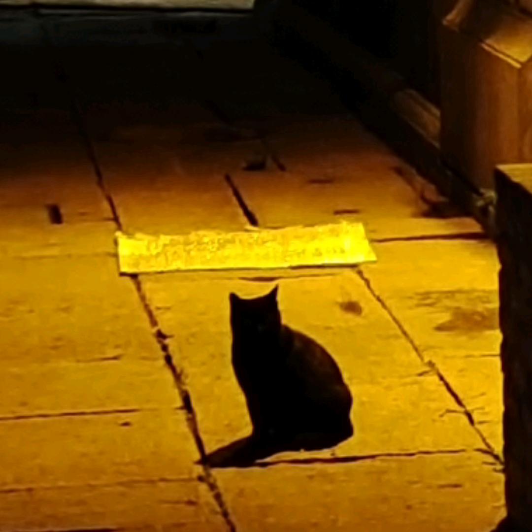 仨卷不是老大爷