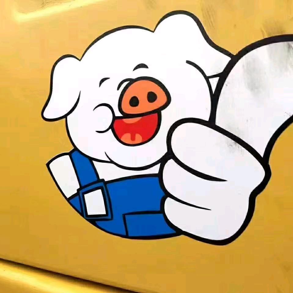 橙色动力ZHL