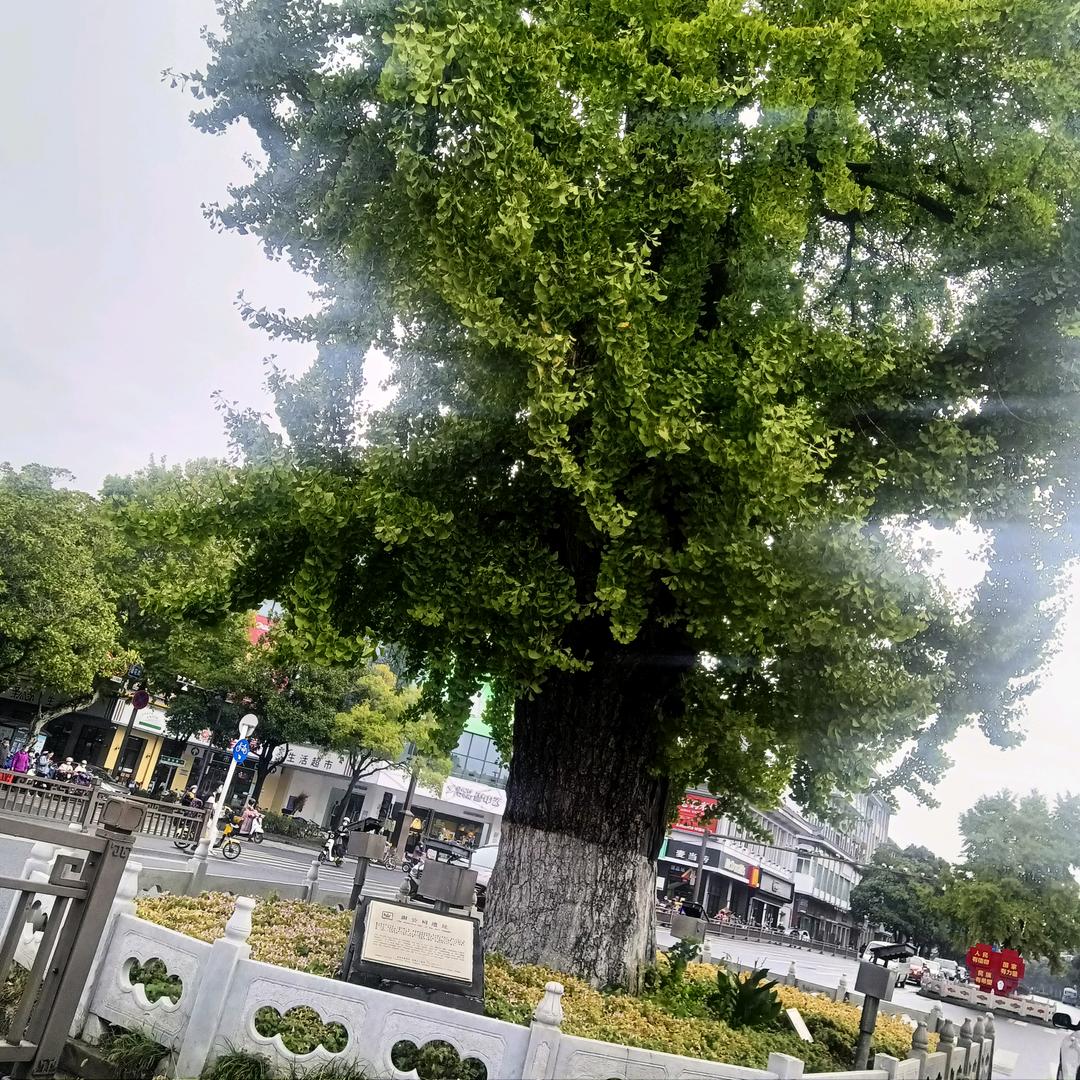 银行专用卷帘，防盗